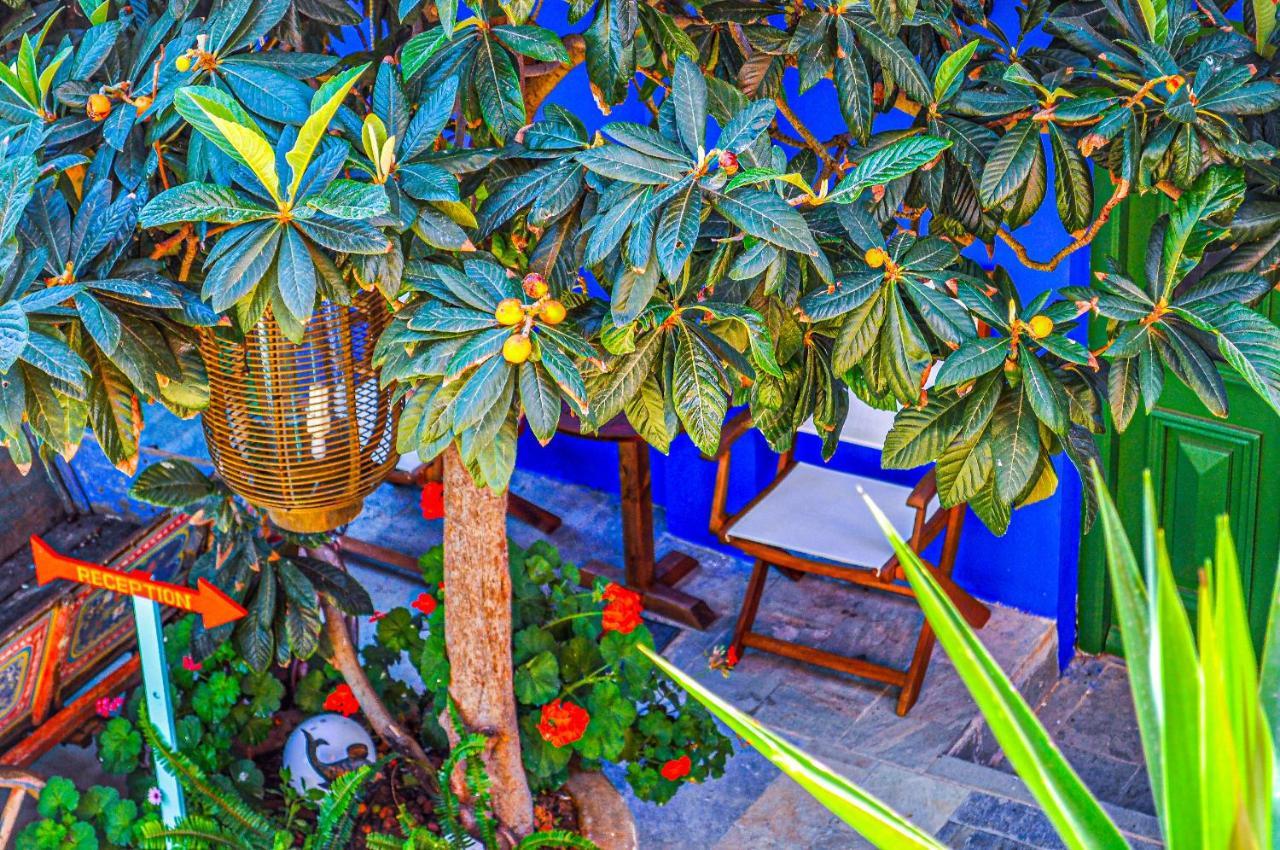 Symi Garden Studios Exterior photo